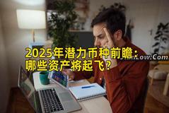 2025年潜力币种前瞻：哪些资产将起飞？