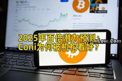 2025年百倍潜力预测：Coni为何被机构看好？