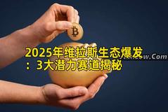 2025年维拉斯生态爆发：3大潜力赛道揭秘