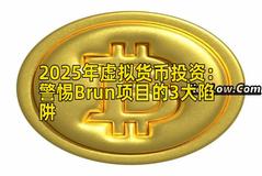 2025年虚拟货币投资：警惕Brun项目的3大陷阱
