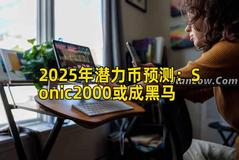2025年潜力币预测：Sonic2000或成黑马