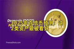 2025年百倍币预测：这2类资产最被看好