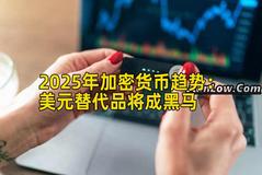 2025年加密货币趋势：美元替代品将成黑马