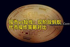 囤币vs短线：现阶段蚂蚁代币操作策略对比