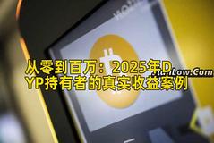 从零到百万：2025年DYP持有者的真实收益案例