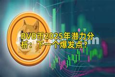 BVB币2025年潜力分析：下一个爆发点？