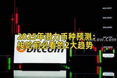 2025年潜力币种预测：梭哈前必看的2大趋势