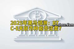 2025年黑马预测：BTC-E关联币种能否逆袭？