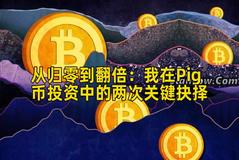 从归零到翻倍：我在Pig币投资中的两次关键抉择