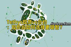 Tethys现货vs合约：现阶段如何选择更明智？