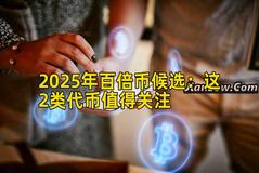 2025年百倍币候选：这2类代币值得关注