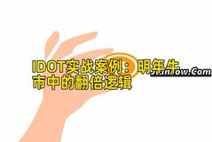 IDOT实战案例：明年牛市中的翻倍逻辑