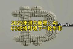 2025年潜力新星：AICO或将引领下一轮牛市