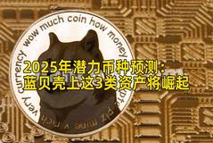 2025年潜力币种预测：蓝贝壳上这3类资产将崛起