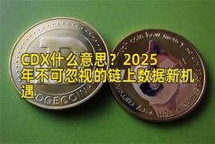 CDX什么意思？2025年不可忽视的链上数据新机遇