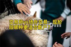 交易所vs场外交易：现阶段哪种更适合散户？