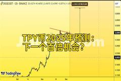 TPY币2025年预测：下一个百倍机会？