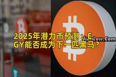 2025年潜力币预测：EGY能否成为下一匹黑马？