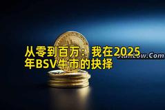 从零到百万：我在2025年BSV牛市的抉择