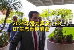 2025年潜力黑马：CBOT生态币种前瞻
