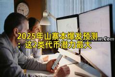 2025年山寨本爆发预测：这2类代币潜力最大