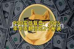 PSO实战复盘：2025年牛市翻倍的2个秘诀