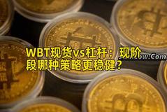 WBT现货vs杠杆：现阶段哪种策略更稳健？