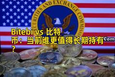 Bitebi vs 比特币：当前谁更值得长期持有？