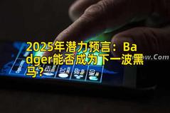 2025年潜力预言：Badger能否成为下一波黑马？