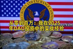 从零到百万：我在2025年DAO投资中的实战经验