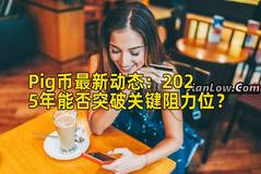 Pig币最新动态：2025年能否突破关键阻力位？