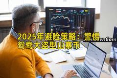 2025年避险策略：警惕鸳鸯大盗型山寨币