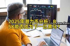 2025年潜力币分析：BSX能否成为下一匹黑马？