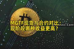 MGTF现货与合约对比：现阶段哪种收益更高？