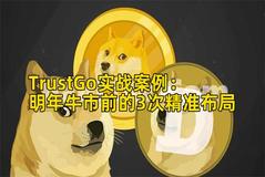 TrustGo实战案例：明年牛市前的3次精准布局