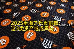 2025年潜力代币前瞻：这3类资产或成黑马