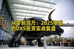 从零到百万：2025年我的DXS投资实战复盘
