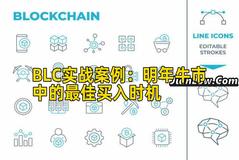 BLC实战案例：明年牛市中的最佳买入时机