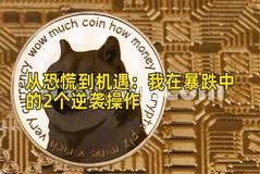 从恐慌到机遇：我在暴跌中的2个逆袭操作