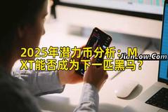 2025年潜力币分析：MXT能否成为下一匹黑马？