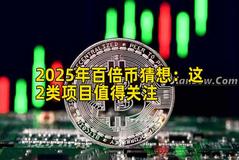2025年百倍币猜想：这2类项目值得关注