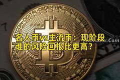 名人币vs主流币：现阶段谁的风险回报比更高？