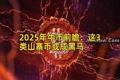 2025年牛市前瞻：这3类山寨币或成黑马