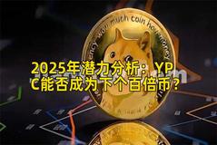 2025年潜力分析：YPC能否成为下个百倍币？