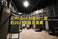 从Mt.Gox到盈利：我的2025年复苏策略