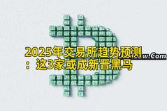 2025年交易所趋势预测：这3家或成新晋黑马