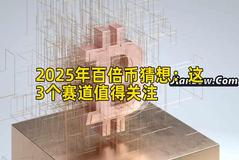 2025年百倍币猜想：这3个赛道值得关注
