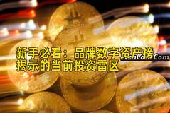 新手必看：品牌数字资产榜揭示的当前投资雷区