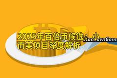 2025年百倍币候选：小而美项目深度解析