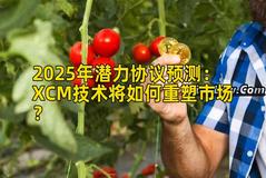 2025年潜力协议预测：XCM技术将如何重塑市场？